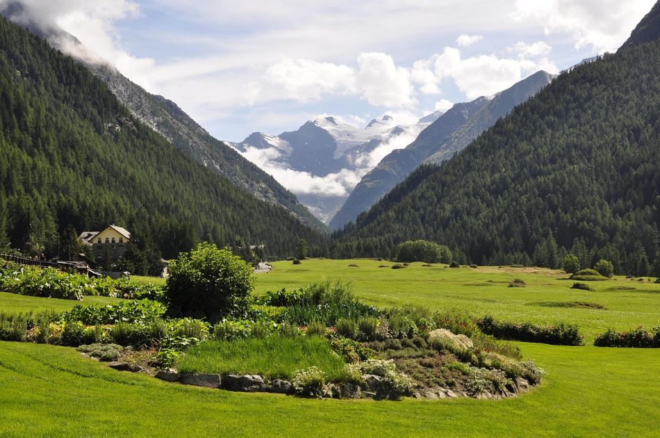 Saisonnalité des champignons : quand les chercher en fonction du climat et de la région italienne